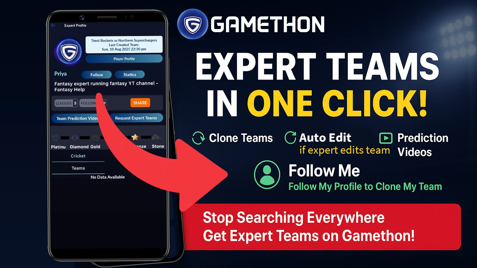Expert teams